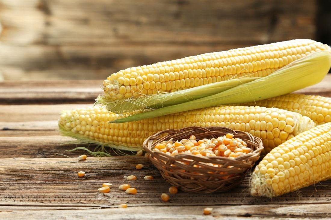 2018年9月12日全国各地玉米价格最新行情一览