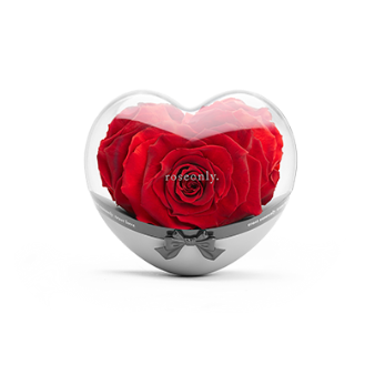 roseonly永生玫瑰