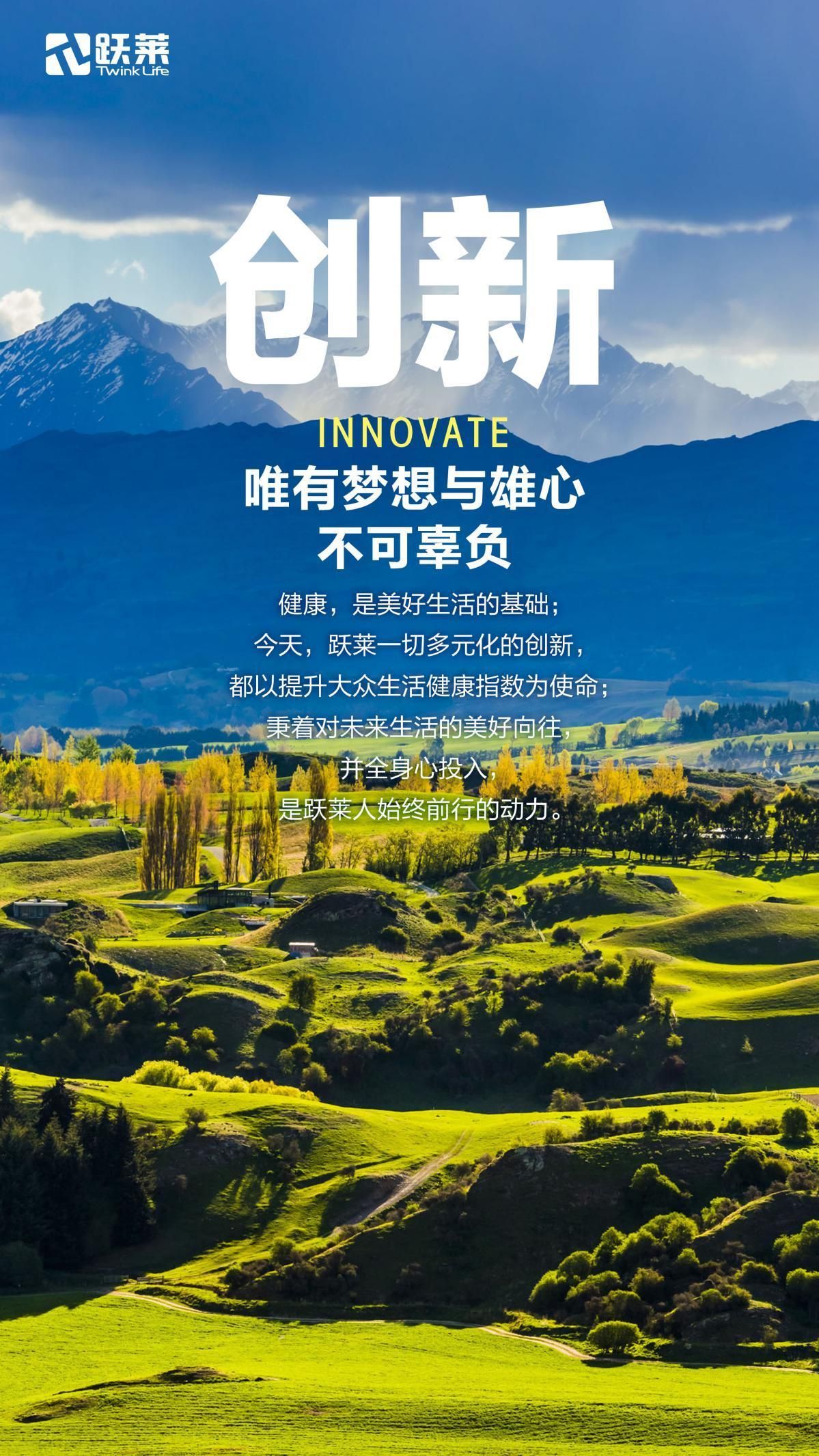 武汉跃莱公司企业愿景:成为市场永远的选择
