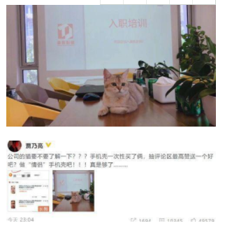 贾乃亮金晨在一起了吗?贾乃亮否认与金晨恋情