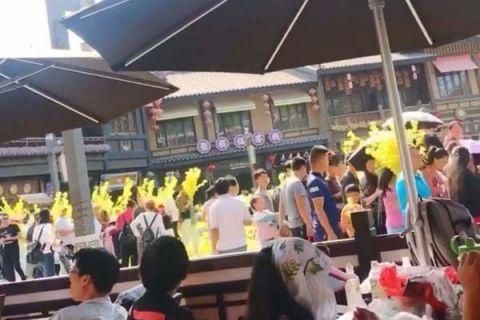 贵州一景区展览花遭哄抢 事情的真象另有原因?