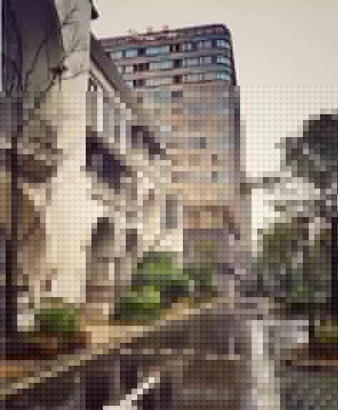 中国健康养老产业集团