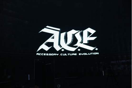A.C.E.首次亮相潮流艺术节,成明星必Buy单品?